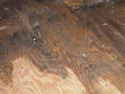 木地板起泡是什么原因的简单介绍
